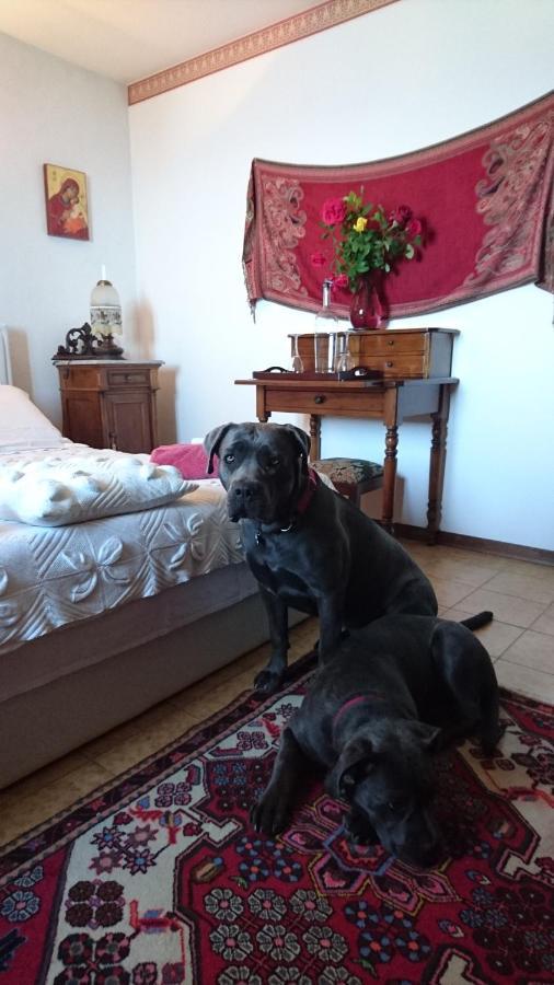 B&B Da Paolo Con Vista Lago Di Garda San Zeno di Montagna Eksteriør billede