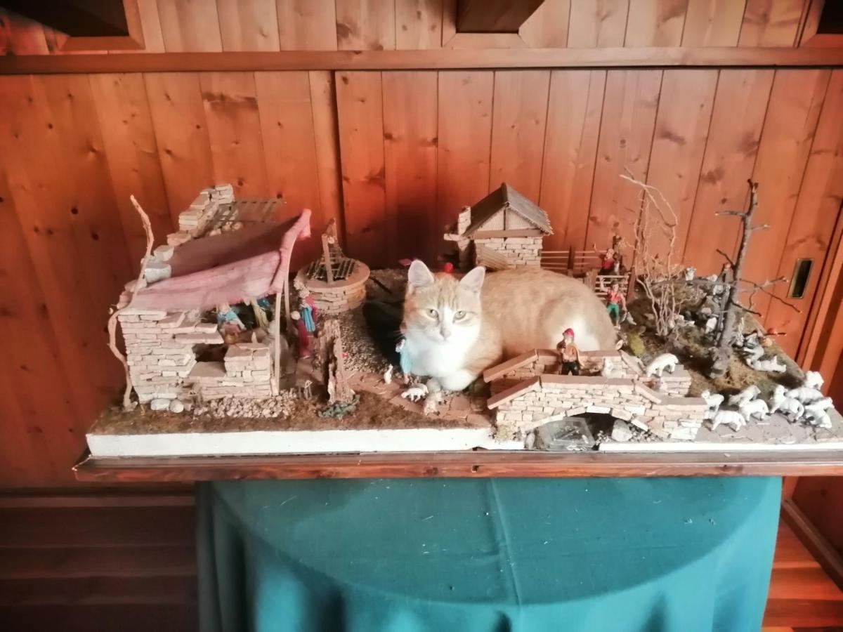 B&B Da Paolo Con Vista Lago Di Garda San Zeno di Montagna Eksteriør billede